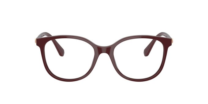 Γυαλιά οράσεως Swarovski SK2002