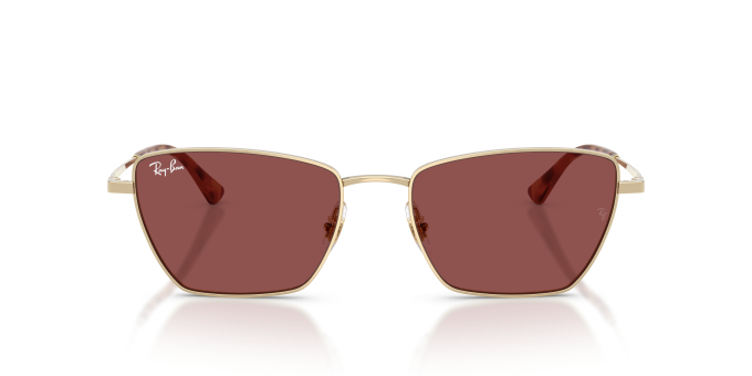 Γυαλιά Ηλίου Ray Ban RB3783